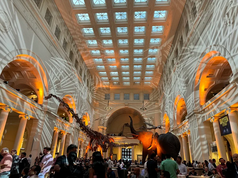 Grand hall of the Field Museum in Chicago, Illinois with dinosaur and elephant skeletons surrounded by convention guests during a private evening event