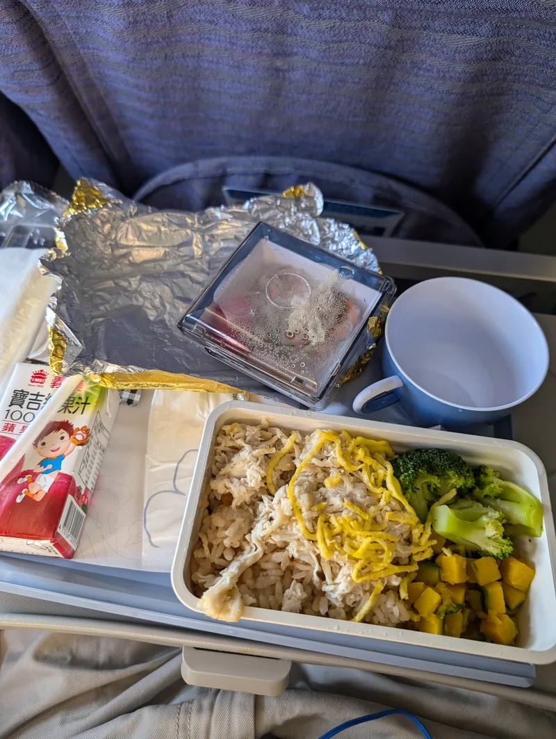 Airplane meal tray with shredded chicken, rice, broccoli, and a side salad on a seat-back tray table during the Manila to Taipei flight.