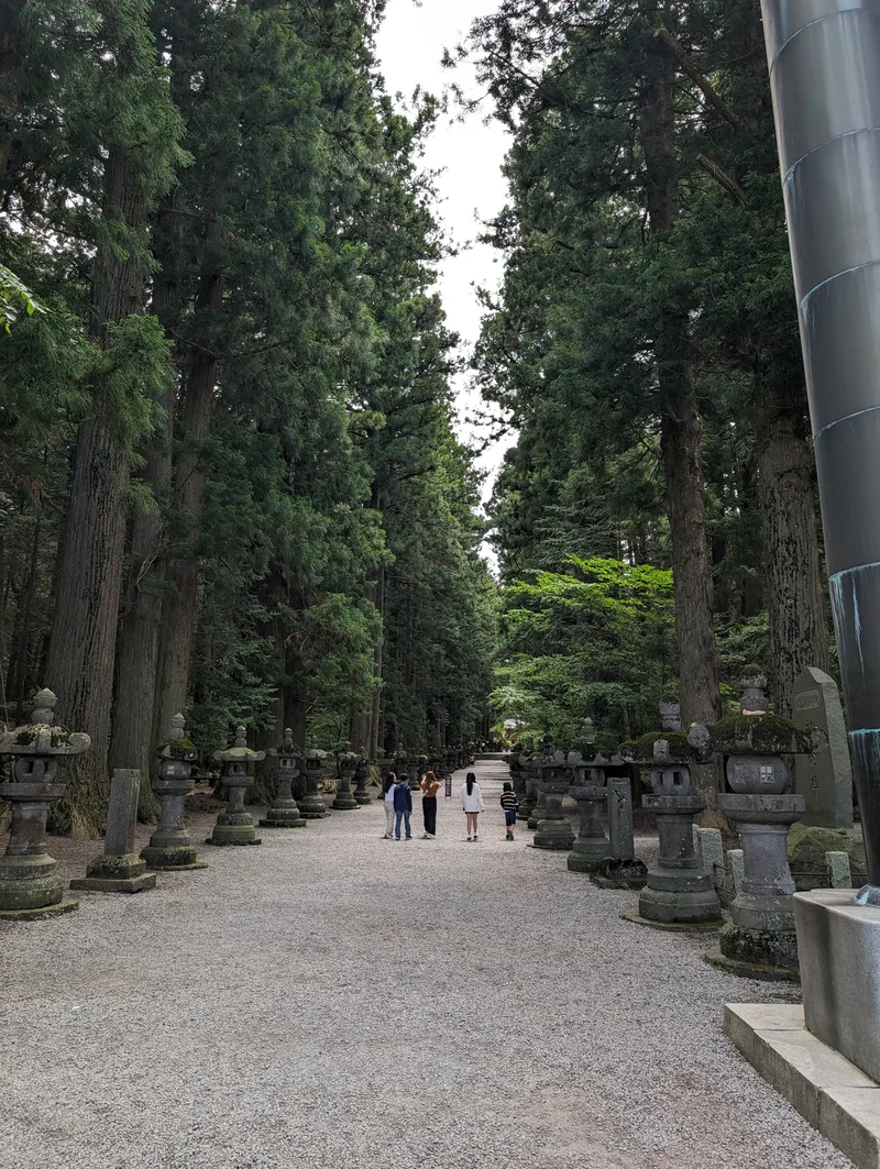 Stone lanterns lining the path through tall cedar trees at Fuji Sengen-Jinja Shrine, Fujiyoshida, Yamanashi, Japan.