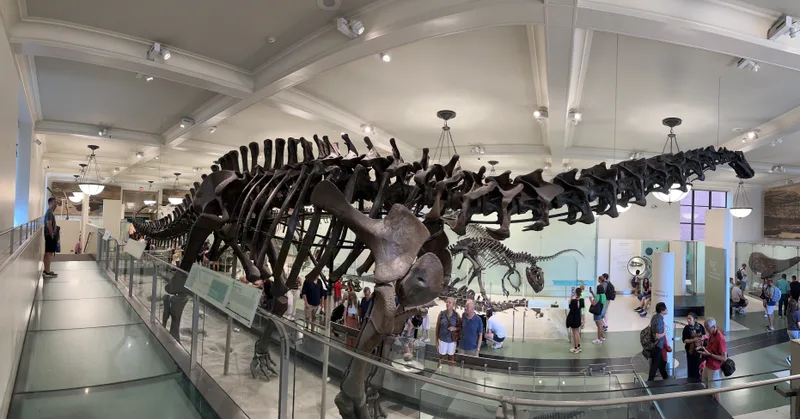 The dinosaur hall could keep you there all day Panoramic view of dinosaur hall at American Museum of Natural History