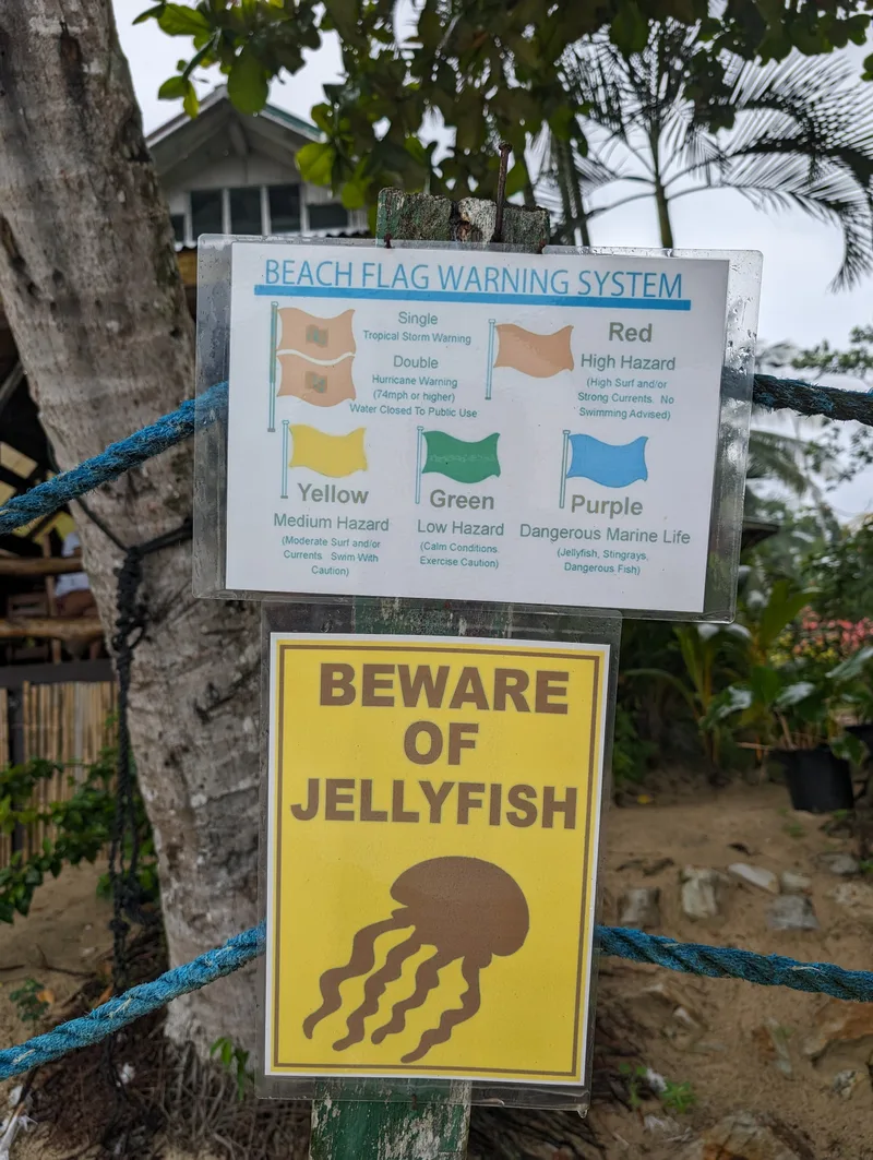 Beach warning signs attached to a tree at Port Barton Palawan, including a beach flag warning system sign and a beware of jellyfish sign with illustration